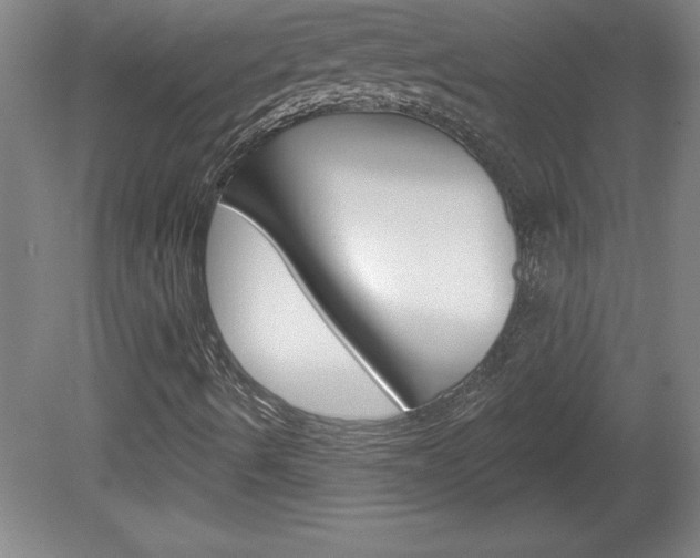 X0000078831490200611130918