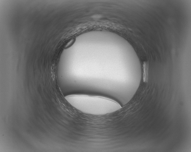 X0000078831491200611130918