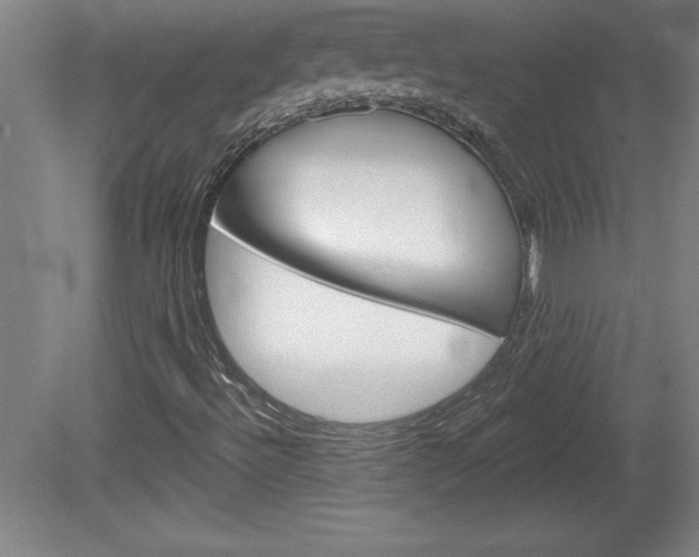 X0000078831492200611130918
