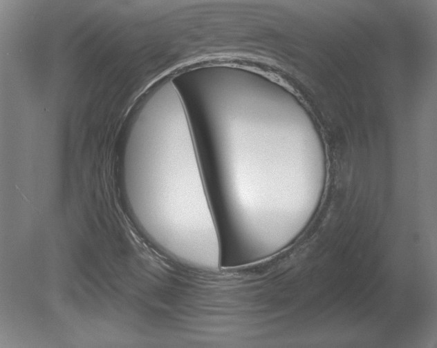 X0000078831497200611130918
