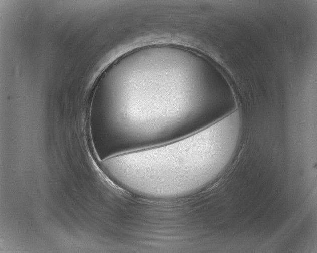 X0000078831500200611130918