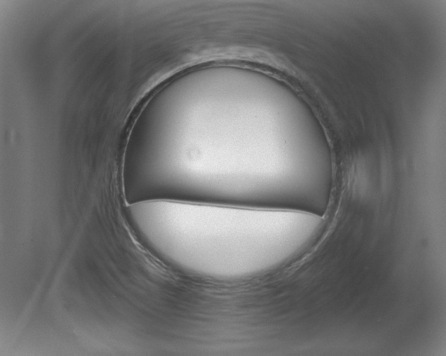 X0000078831505200611130918