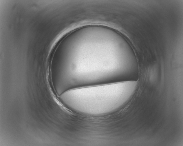 X0000078831511200611130918
