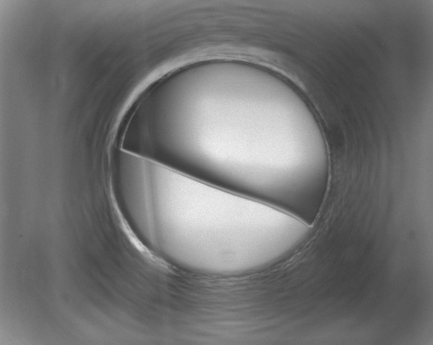 X0000078831515200611130918