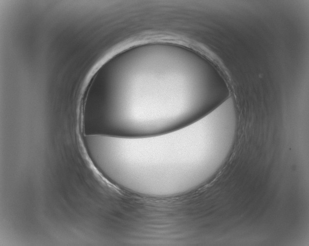 X0000078831520200611130918