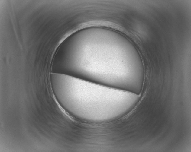 X0000078831521200611130918