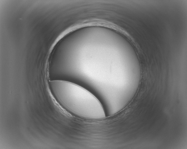 X0000078831522200611130918
