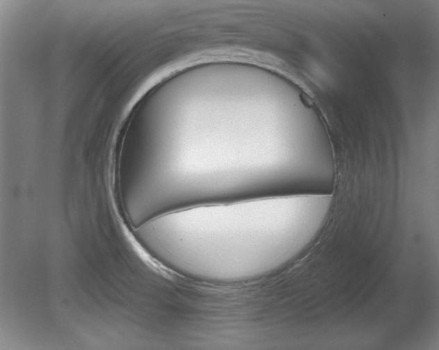 X0000078831523200611130919