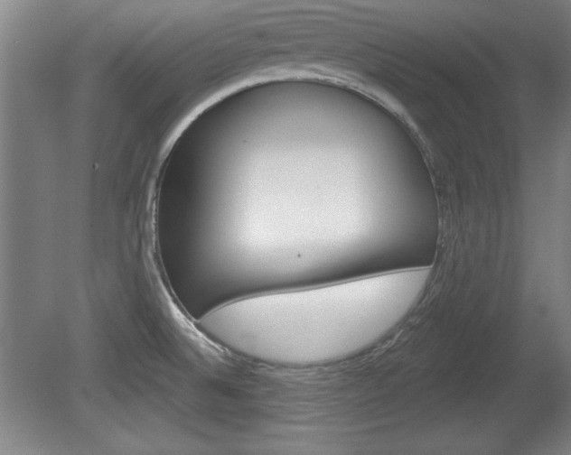 X0000078831524200611130919