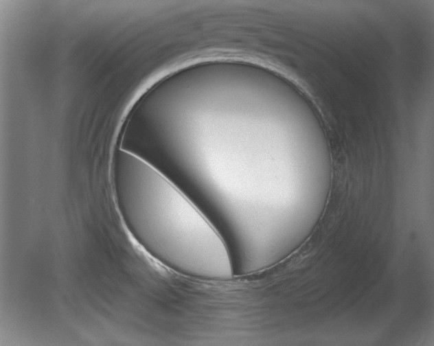 X0000078831527200611130919