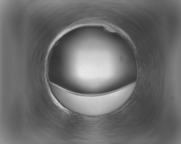 X0000078831528200611130919