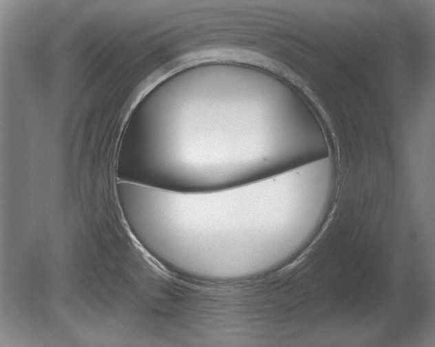 X0000078831529200611130919