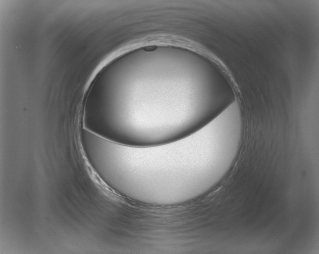 X0000078831530200611130919