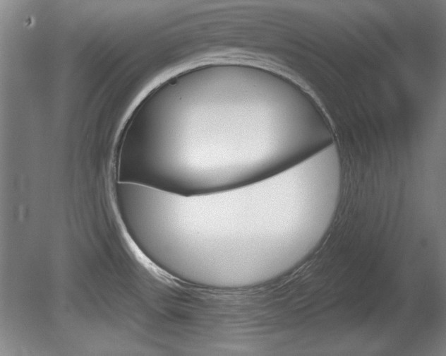 X0000078831531200611130919
