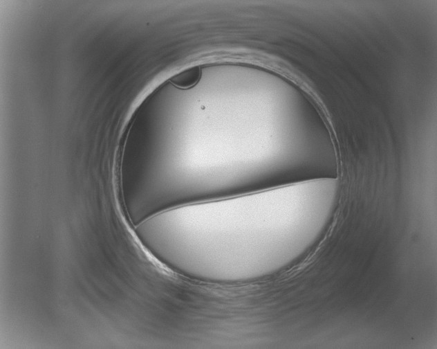 X0000078831533200611130919
