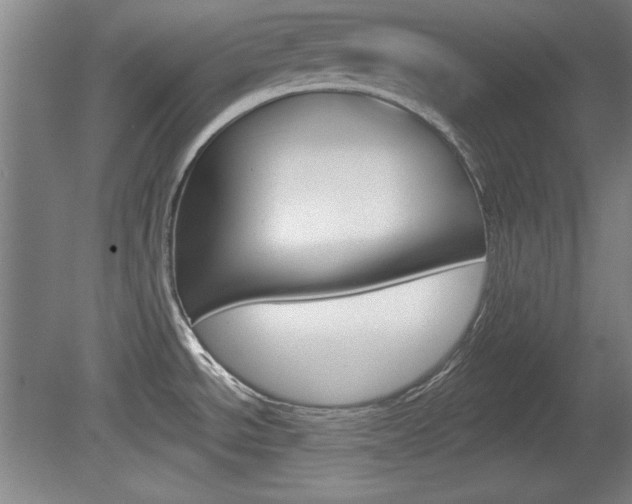X0000078831534200611130919