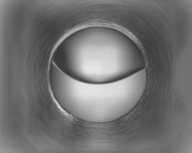 X0000078831536200611130919