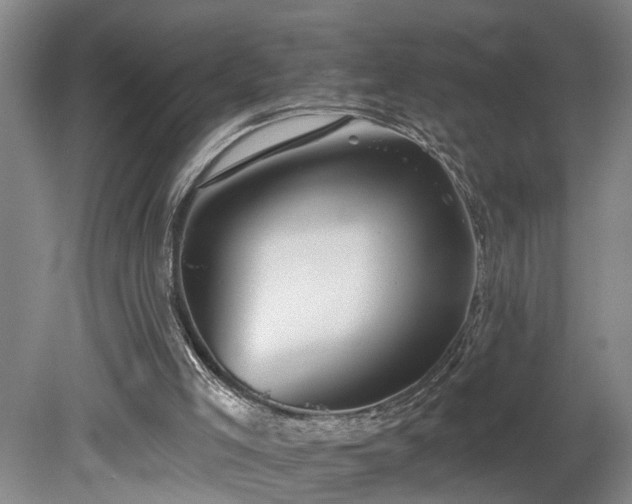 X0000078830005200611131135