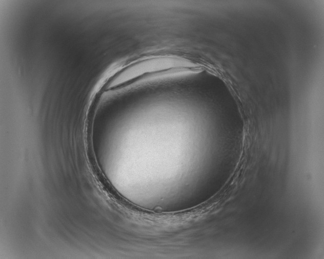 X0000078830006200611131135