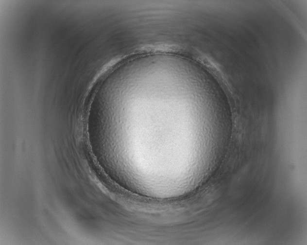 X0000078830012200611131135