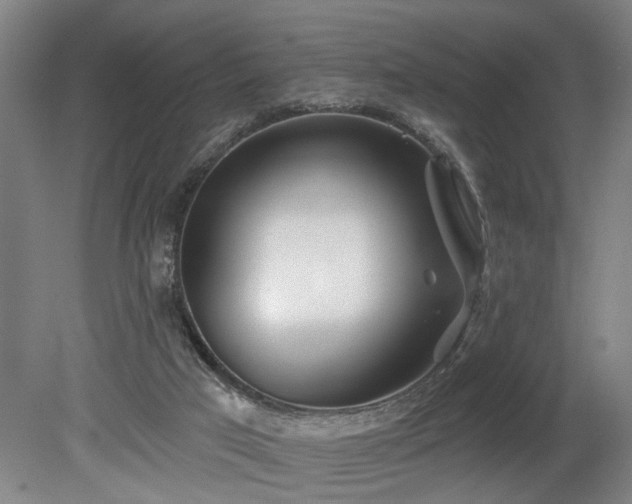 X0000078830017200611131134