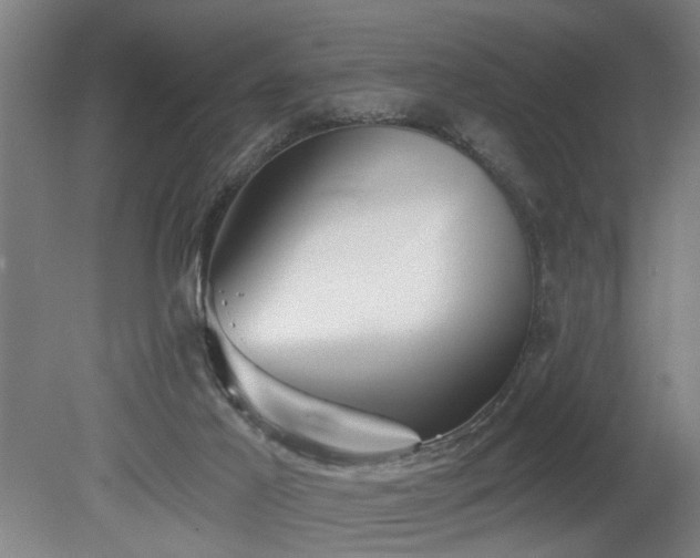 X0000078830021200611131134