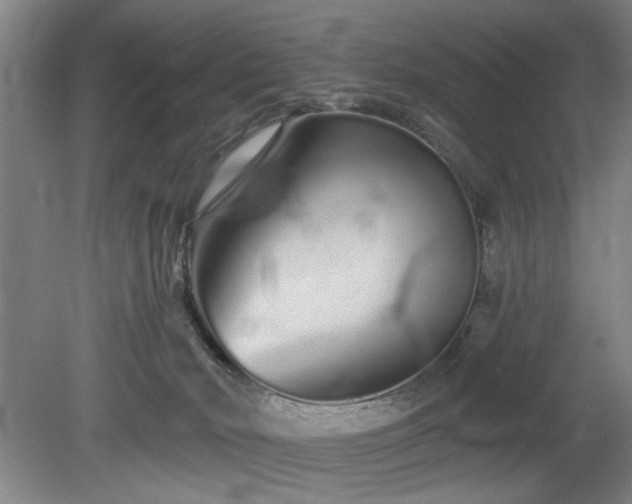 X0000078830030200611131134
