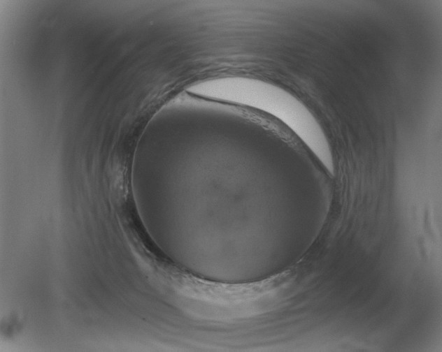 X0000078830031200611131134