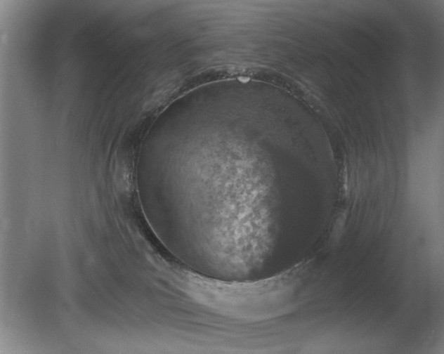 X0000078830039200611131134