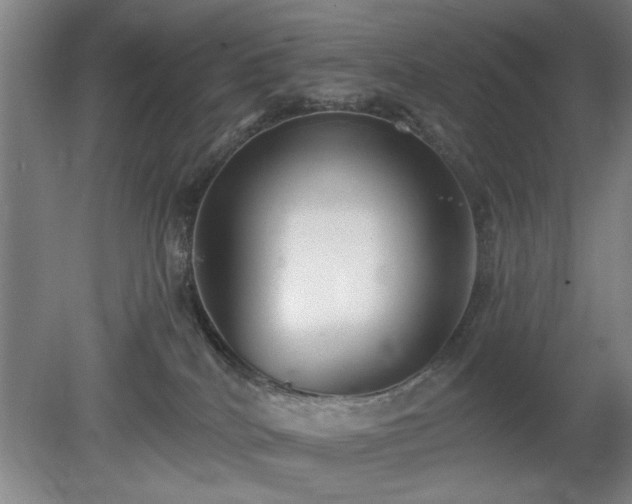 X0000078830040200611131134