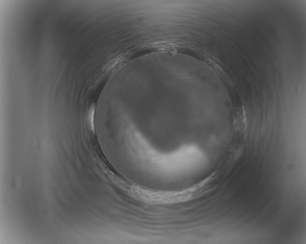 X0000078830047200611131134