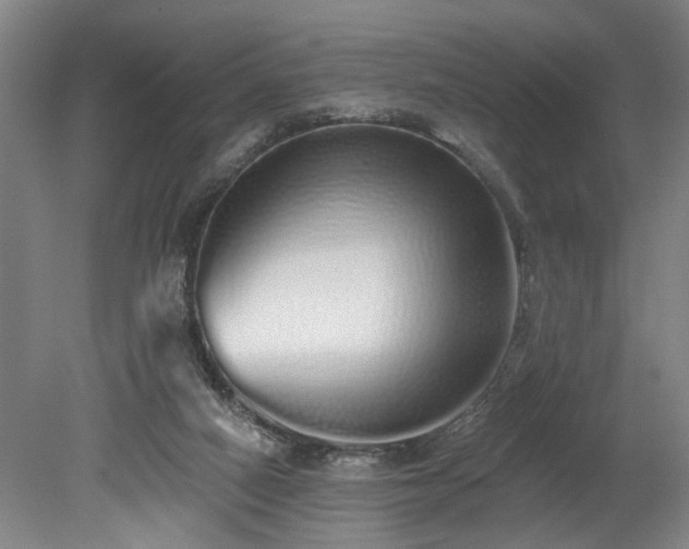 X0000078830066200611131133