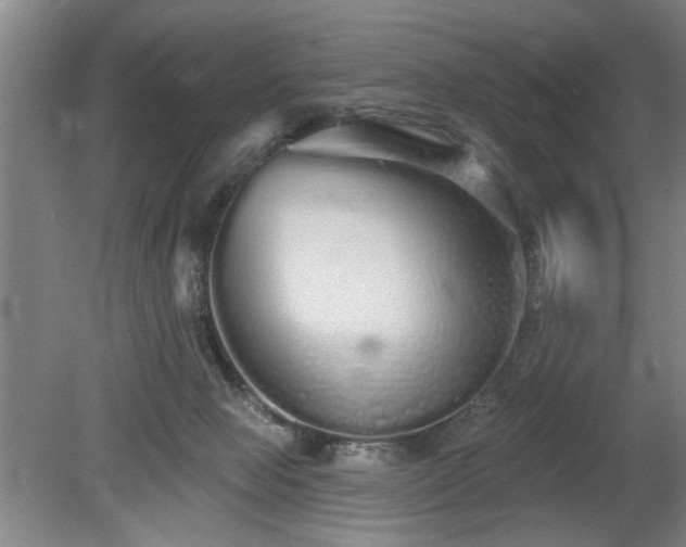 X0000078830077200611131134