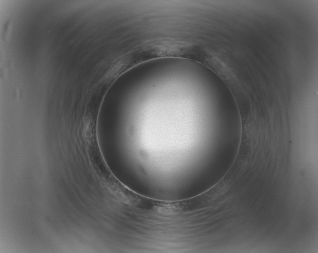 X0000078830079200611131134