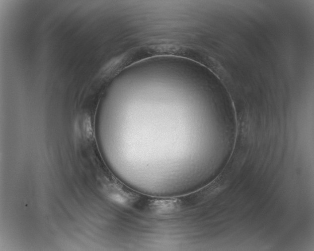 X0000078830089200611131134