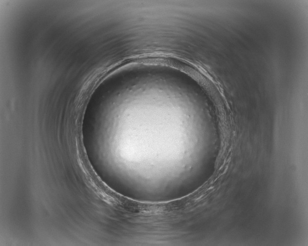 X0000078830097200611131133
