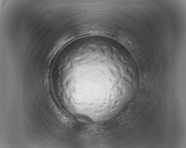 X0000078830098200611131133