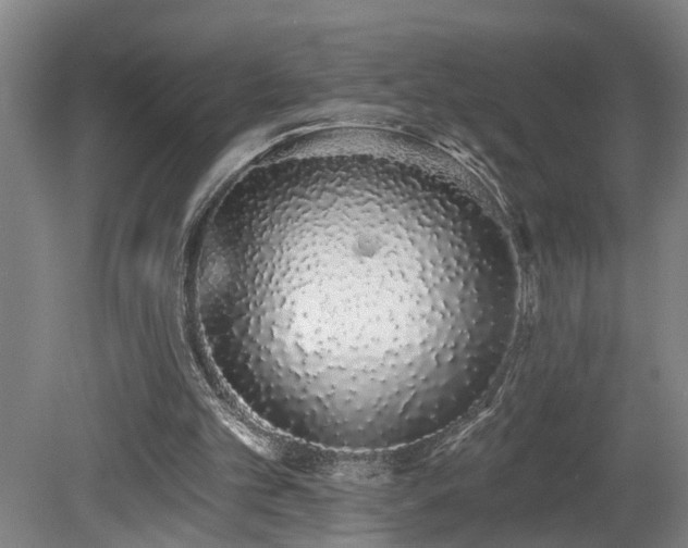 X0000078830101200611131133