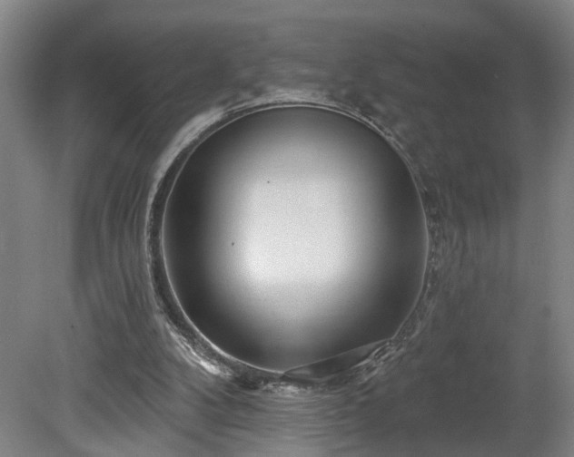 X0000078830104200611131133