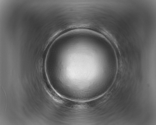 X0000078830107200611131133
