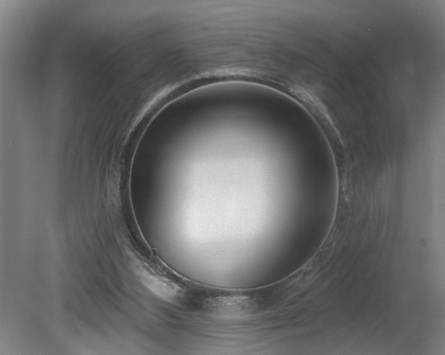 X0000078830108200611131133