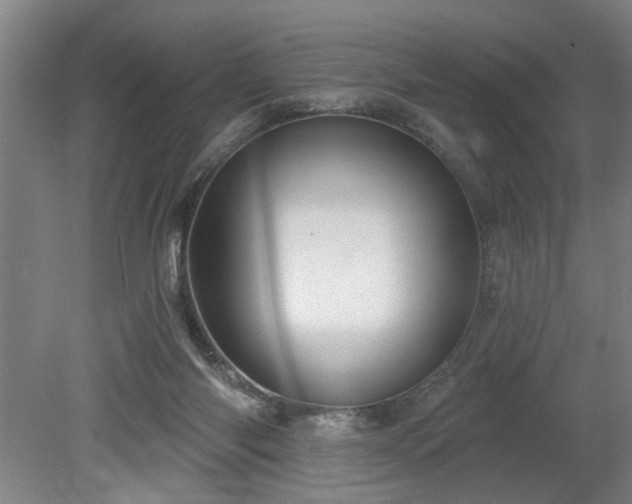 X0000078830118200611131133