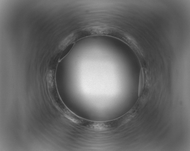 X0000078830121200611131133
