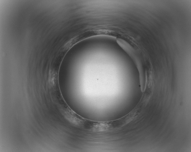 X0000078830125200611131133