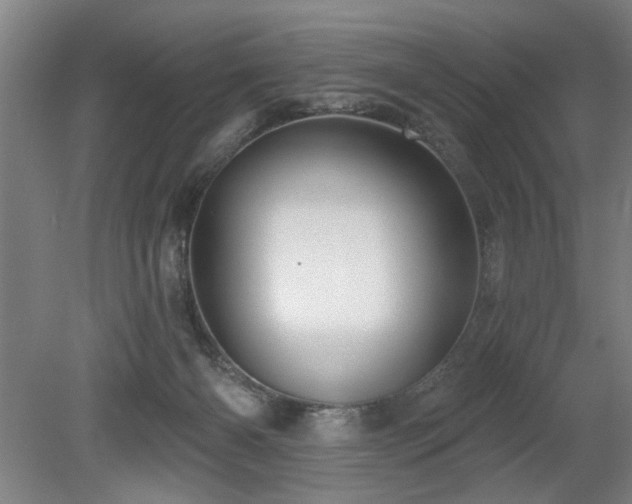 X0000078830126200611131133