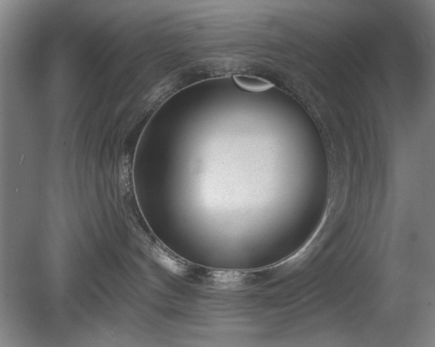 X0000078830144200611131132