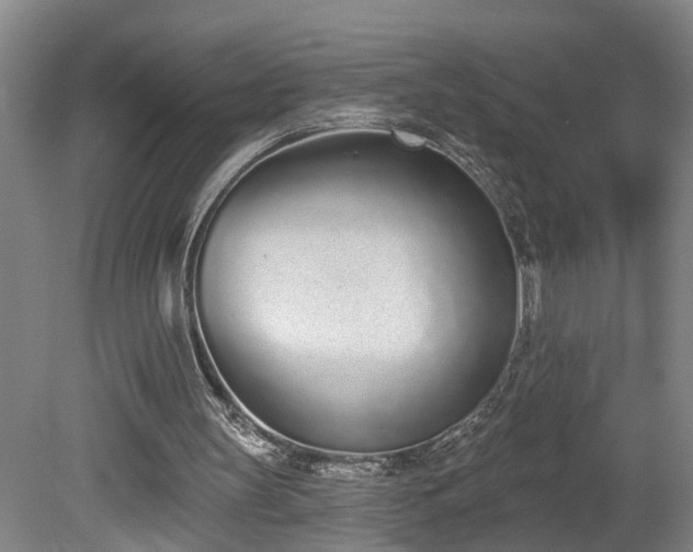 X0000078830147200611131132