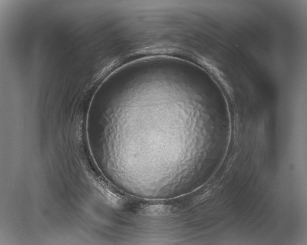 X0000078830153200611131132