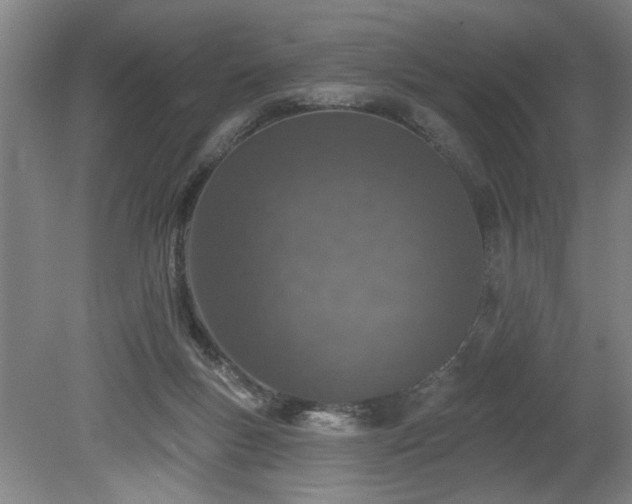 X0000078830167200611131132