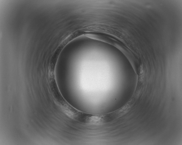 X0000078830176200611131132